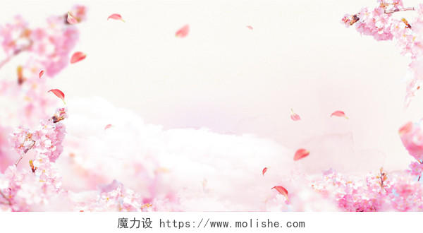 清新樱花树樱花节宣传粉色海报背景